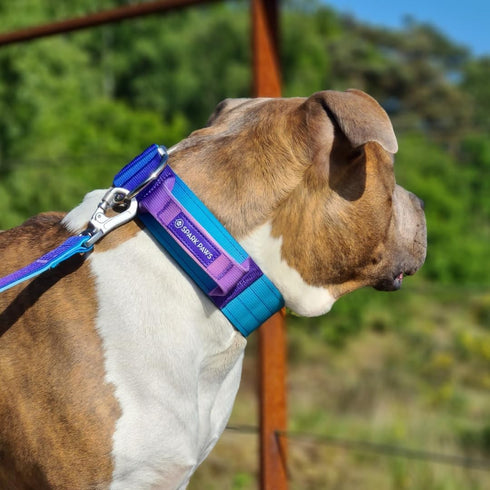 Spark Paws Tactical Dog Collar - Premium Quality, Robust Durable Design for Large Strong Breeds - Pitbulls, Boxers -