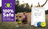 Dog Balls Tennis Ball Dog Toys for Aggressive Chewers, Durable Floating Water Toy Fetch Balls for Large, Medium Small