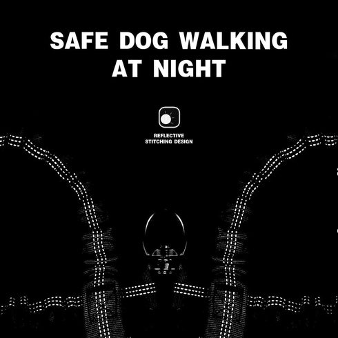 3 Dog Leash No Tangle - Heavy Duty Multiple Dog Lead with Shock Absorbing Bungee and Padded Handle for Medium & Large