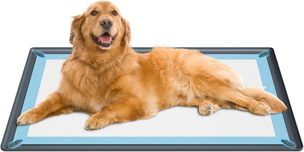 Pee Pad Holder for Dogs with Magnetic Tabs, Puppy Pad Holder, 25"x36"