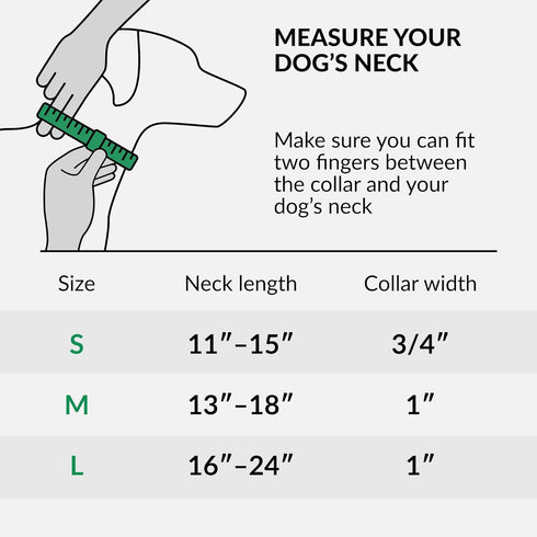 CollarDirect Reflective Martingale Dog Collar, Heavy Duty Nylon Training for Small Medium Large Dogs (S, Neck 11"-15",