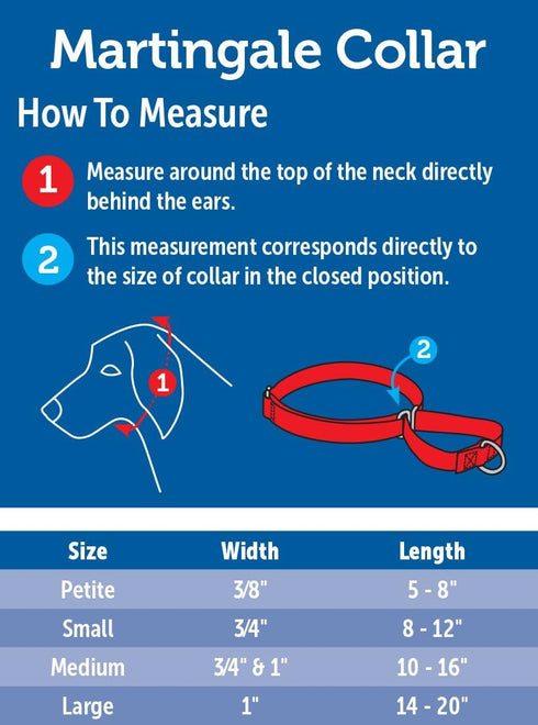 PetSafe Adjustable Martingale Collar, Prevents Slipping Out, Only Tightens When Dogs Pull, 1", Medium, Royal Blue
