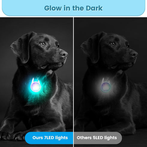 Dog Lights 2-Pack LED Rechargeable Collar Lights Clip-On with RGB Color Safety Lights for Night Walking Camping
