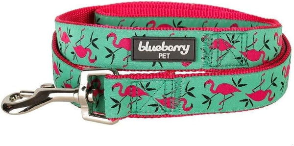 Blueberry Pet Essentials 2 Patterns Durable Dog Leash, Pink Flamingo on Light Emerald, 5 ft x 3/4", Medium, Basic Nylon