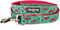 Blueberry Pet Essentials 2 Patterns Durable Dog Leash, Pink Flamingo on Light Emerald, 4 ft x 1", Large, Basic Nylon