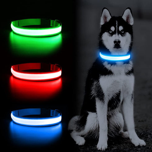 YFbrite Ultra Light Adjustable LED Dog Collar, Rechargeable Glowing in The Dark for Small, Medium, Large Dogs, Blue
