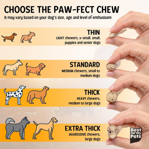 6Inch 8 oz Best For My Pets OdorFree Beef Bully Sticks, Bag - SingleIngredient, LongLasting Natural Dental Dog Chews