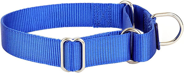 Martingale Dog Collar, Nylon Dog Collar, Blue, Small