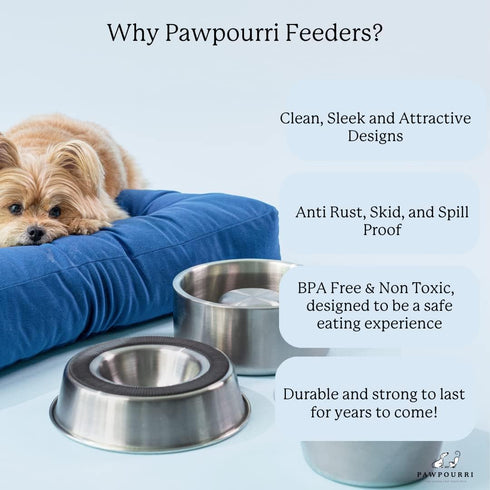 Camping Double Wall Stainless Steel Anti-Skid Water and Food Feeding Bowl for Dogs, Cats (Dark Green, 40 Oz)