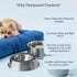 Printed Teal Blue Anti-Skid Stainless Steel Water and Food Feeding Bowl for Small Dogs and Cats (2 bowl)