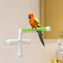 Bird Portable Suction Cup Shower Perch, Window Wall Standing Platform for Parrot Parakeet Conure Cockatiel (Random