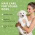 8 Puppy Shampoo for Puppies Weeks Old, Gentle Tearless Dog Shampoo for Smelly Dogs, Deodorizing Dog Shampoo with Aloe
