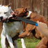 Pitbull Dog Break Stick Skid Plate, Dog No Bite Sticks, Protect Crowbar Training Stick for Large Dogs (Blue-handle,