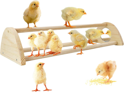 Yasdyri Chicken Perch with Mirror Roosting Bar for Baby Chicks Chick Jungle Gym Roosting Bar Strong Wooden Baby Chick