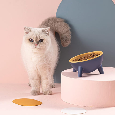 Tilted Cat Bowl 15° Slanted Non-Slip Raised Pet Food Bowl with Triangular Stand for Small Pets, 9.2 Ounces