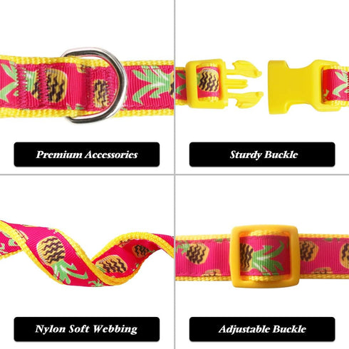 azuza Bowtie Dog Collar, Soft & Comfy Collar with Bow, Fun Patterns & Bright Color for Large Dogs