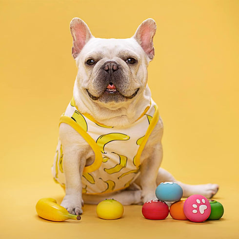 Squeaky Dog Toys, Soft Latex Rubber Ball for Small Dogs, Cute Bounce Squeak Toys with Funny Face