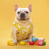 Squeaky Dog Toys, Soft Latex Rubber Ball for Small Dogs, Cute Bounce Squeak Toys with Funny Face