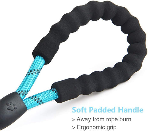 5 FT Beautifully Dog Leash with Comfortable Padded Handle and Highly Reflective Threads for Medium Large Dogs