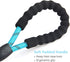 5 FT Beautifully Dog Leash with Comfortable Padded Handle and Highly Reflective Threads for Medium Large Dogs