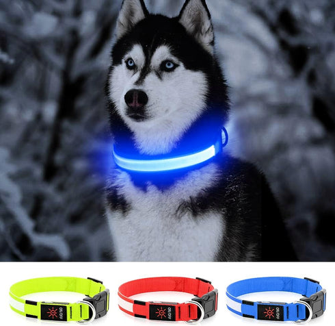YFbrite Ultra Light Adjustable LED Dog Collar, Rechargeable Glowing in The Dark for Small, Medium, Large Dogs, Blue