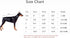 DroolingDog XS Dog Clothes - Dog T Shirt & Cat Tshirt for Puppy Shirts, Girl, XS, Black