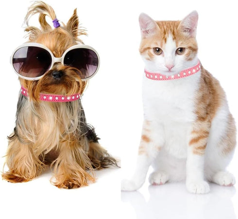 Cute Dazzling Sparkling Elegant Fancy Suede Leather 1 Rows Bling Rhinestone Crystal Jeweled Small Pet Collar (Purple, S)