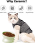 Elevated Cat Food Bowl, 5 Oz Ceramic Raised and Tilted Water Bowl, Anti Vomiting Dishes for Small Dogs, Cats