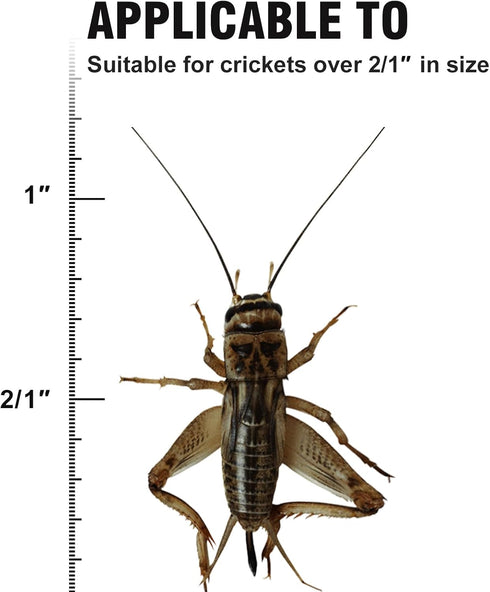 SIKGFPN Reptile Cricket Keeper,Acrylic Feeding Crickets Habitat,Replacement of Egg Cartons