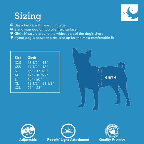 RC Pet Products Step in Cirque Soft Walking Dog Harness, Small, Red