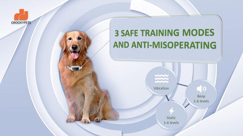 Touchscreen Automatic Bark Collar - Intelligent Bark Deterrent Device with Safe Sound Vibration Shock Mode