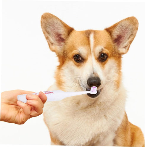 2 Pack FOMIYES Electric Pet Toothbrush Safe Gentle on Gums Portable for Travel Dog Oral Care Random Color