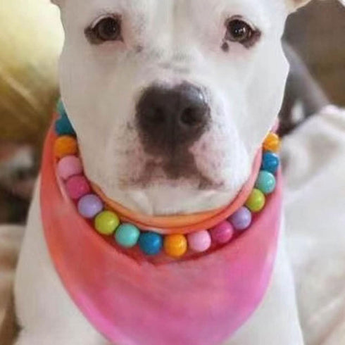 yanbirdfx Dogs Collar, Durable Pet Faux Pearls Necklace Pet Jewelry in Candy Colors, Multicolor