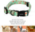 Ihoming Dog Collar and Leash Set, Floral GreenLake Design for Large Dogs Cats, Daily Outdoor Walking Training, L-Up to