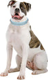 Spiked Dog Collar - Soft PU Leather Mushrooms Rivet Spike Studded Adjustable Collar for Cats and Dogs (XL, Light Blue)