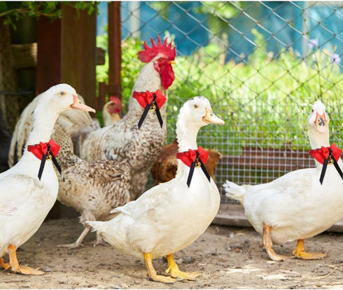 2-Pack Call Duck Collar Set with Bell, Adjustable Bowtie for Small Pets Chicken Hen Roster Goose, Perfect Poultry