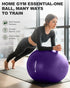 5 Trideer Exercise Ball for Yoga, Pilates & Fitness Stability Ball Equipment for Home Gym & Office Chair, Core