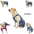 Classic Dog Jeans Overall for Medium Large Dogs, Pet Denim Jumpsuit Onesies Clothes Costumes, Blue Vintage Washed
