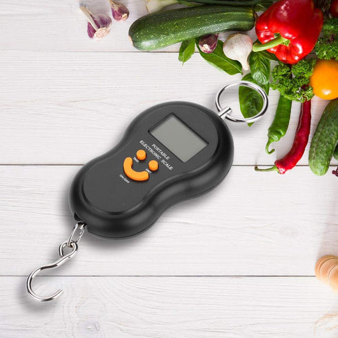 Portable LCD Display Digital Fishing Hanging Scale, Electric Weighing Scale for Home and Fishing