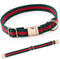 Premium Dog Collar, Luxury Style Durable Pet Collars with Metal Buckle Safety for Big Dogs