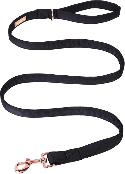 Unique Style Paws Silk Dog Leash, Durable Leashes with Comfortable Handle for Small Medium Large Dogs