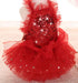 Fashion Sweet Puppy Dog Blingbling Princess Skirt, Pet Dog Lace Cake Camisole Tutu Dress, Red Small