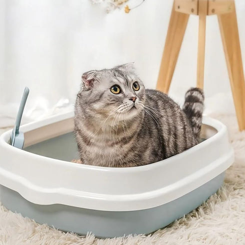 GRETJOB 16 Set 16 Kitten Starter Kit - Pcs Cat Essentials Includes Litter Box, Toys, Collars, Scratch Pad, Nail File