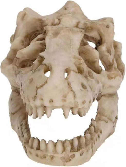 2Pcs Aquarium Decoration Small Resin Dinosaur Skull Skeleton Fish Tank Aquarium Aquarium Cave Pet Reptile House Decoration by Generic