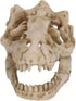 2Pcs Aquarium Decoration Small Resin Dinosaur Skull Skeleton Fish Tank Aquarium Aquarium Cave Pet Reptile House Decoration by Generic