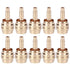 Xtahdge Bicycle Olive Oil Needle Olive Head, CNC Processed Bicycle Repair Parts, Copper Material for All Heads, Must