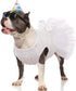 Kuoser Dog Dress, Adorable Pet Wedding Dresses for Small Medium Girl Dogs, White Princess Outfits with Lace Pearl Bow