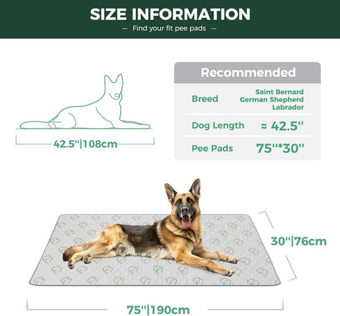 30" 75" 1 Pack FXW Washable Pee Pads for Dogs, Leak-Proof & Non-Slip, Specifically Designed for Potty Training, x