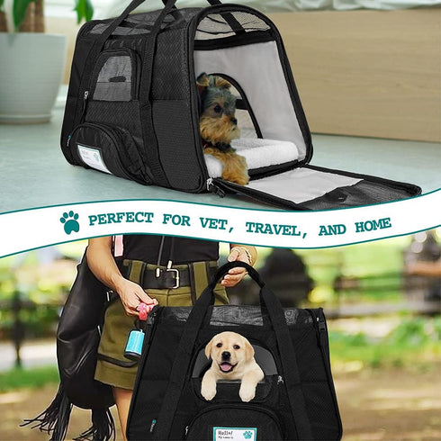 PetAmi Airline Approved Pet Carrier for Cat, Soft Sided Dog Carrier for Small Dogs, Cat Travel Supplies Accessories