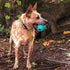 Chew King Fetch Balls, Extremely Durable Natural Rubber Toy, 3 inch Balls (CM-0263-CS01), 3 Count (Pack of 1)
